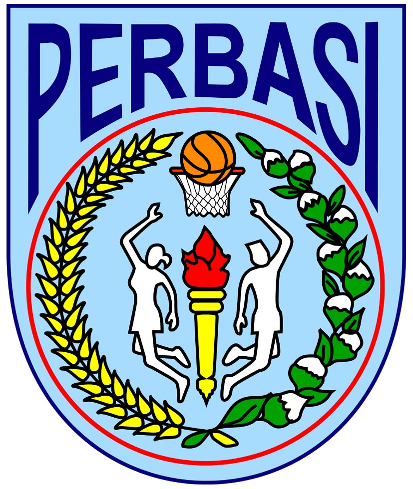 Indonesia 0-Pres Primary Logo iron on heat transfer